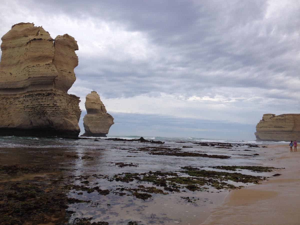 Clifton Beach Lodge Port Campbell Kültér fotó